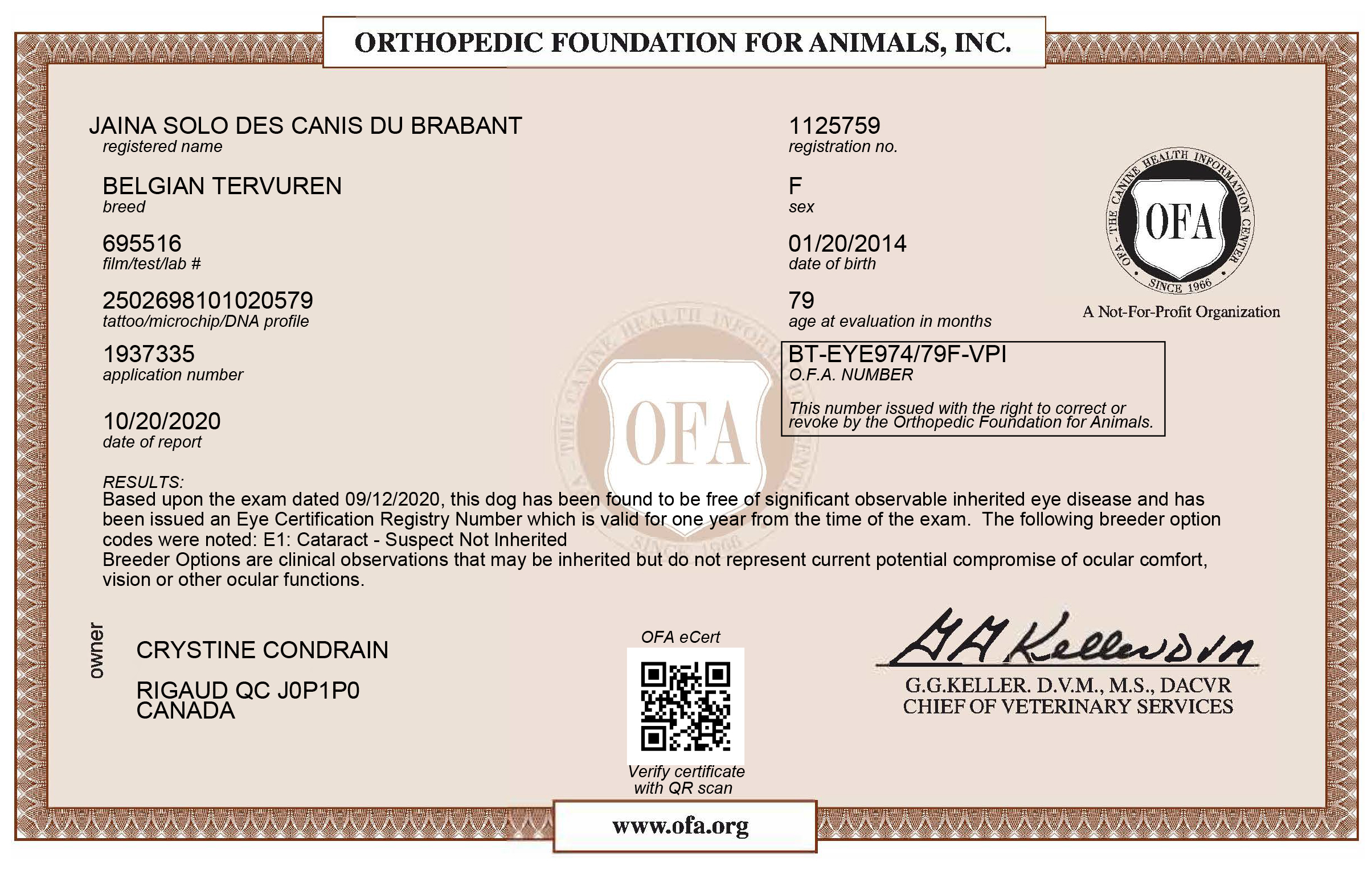 Certificat OFA - Jaina Yeux 2020